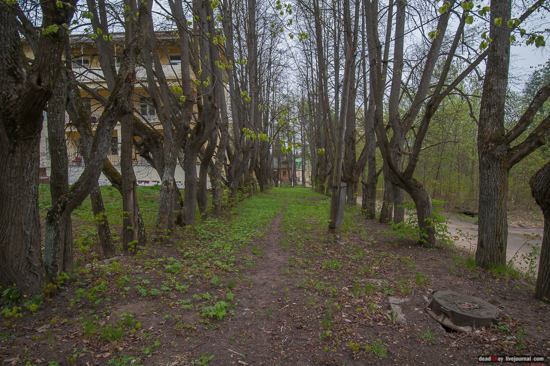 усадьба Михайловское