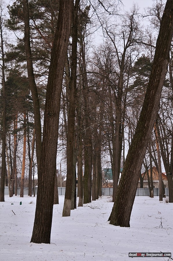 усадьба Успенское