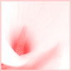 ❀