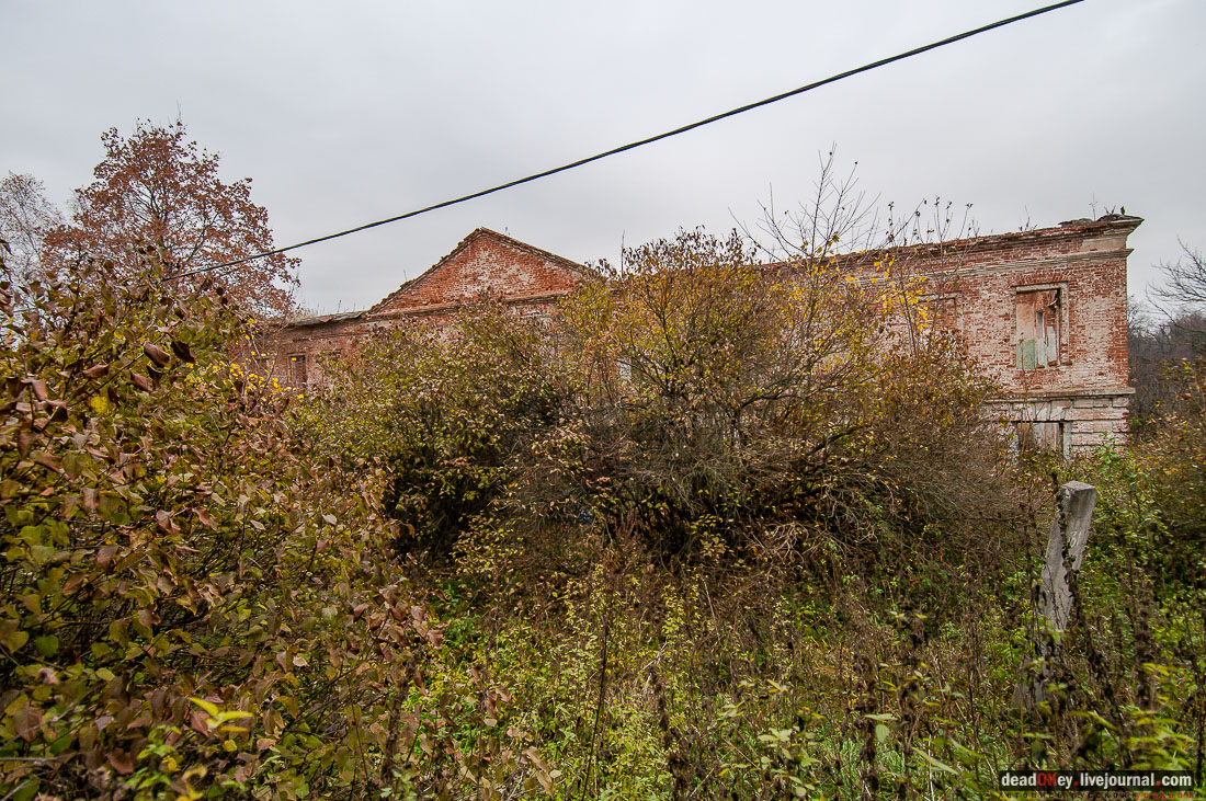 Усадьба Молоди