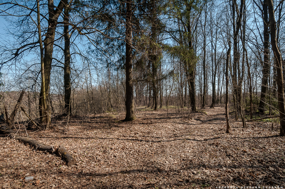 усадьба Бабкино