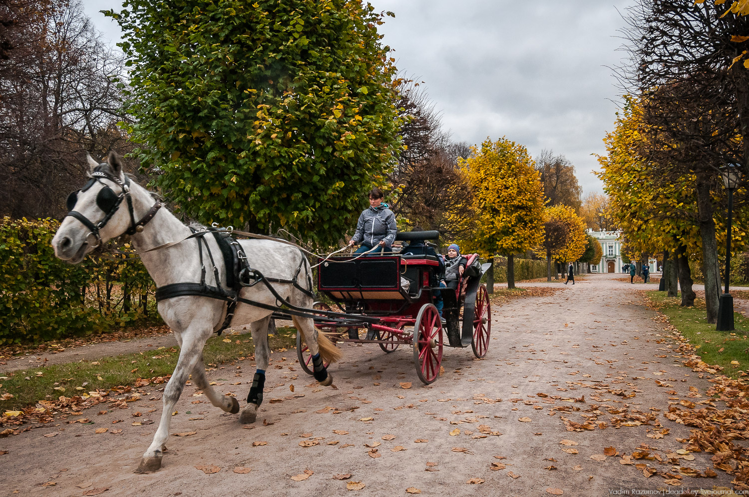 усадьба Кусково, осень 2018 года