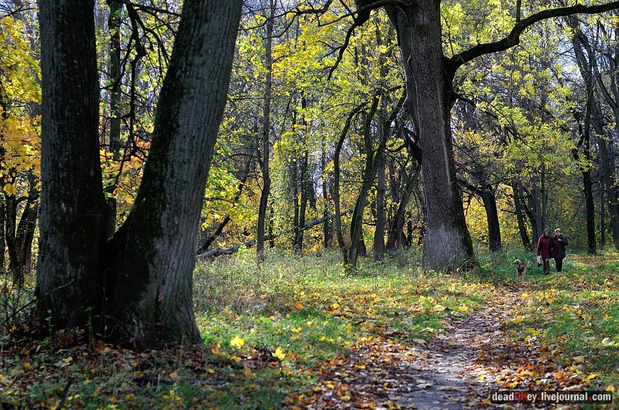 усадьба Авчурино