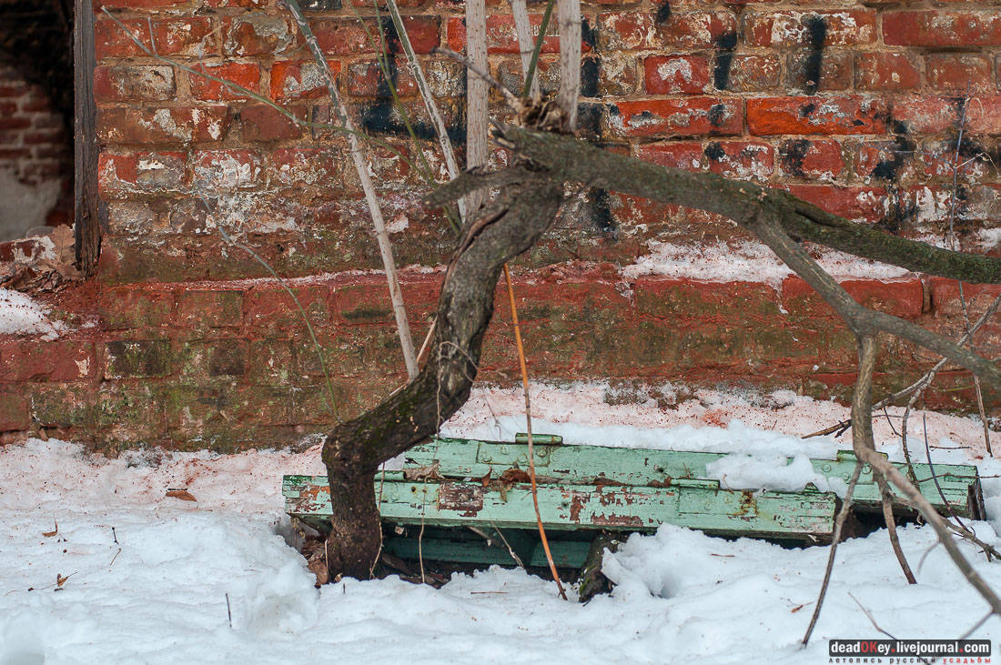 усадьба Гребнево, больничный комплекс