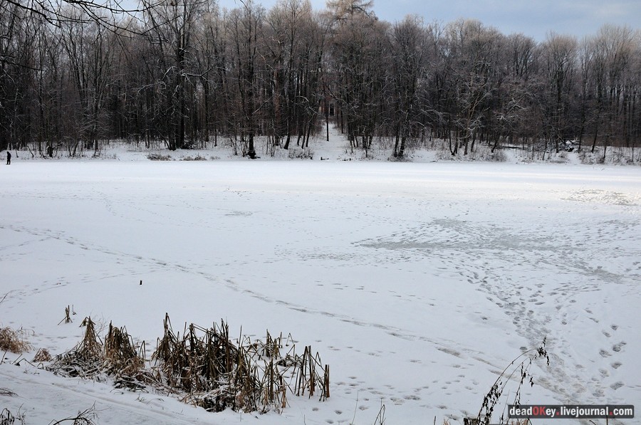 усадьба Быково
