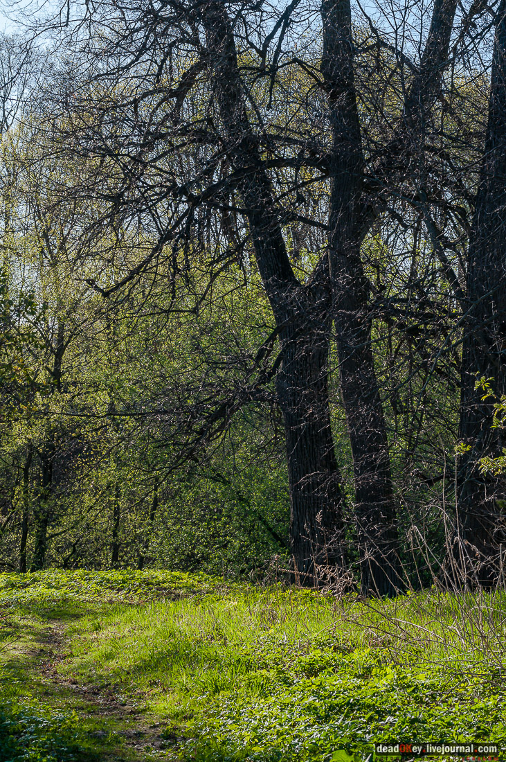 усадьба Зендиково