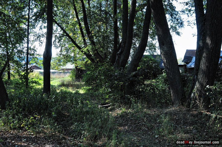 усадьба Муханово