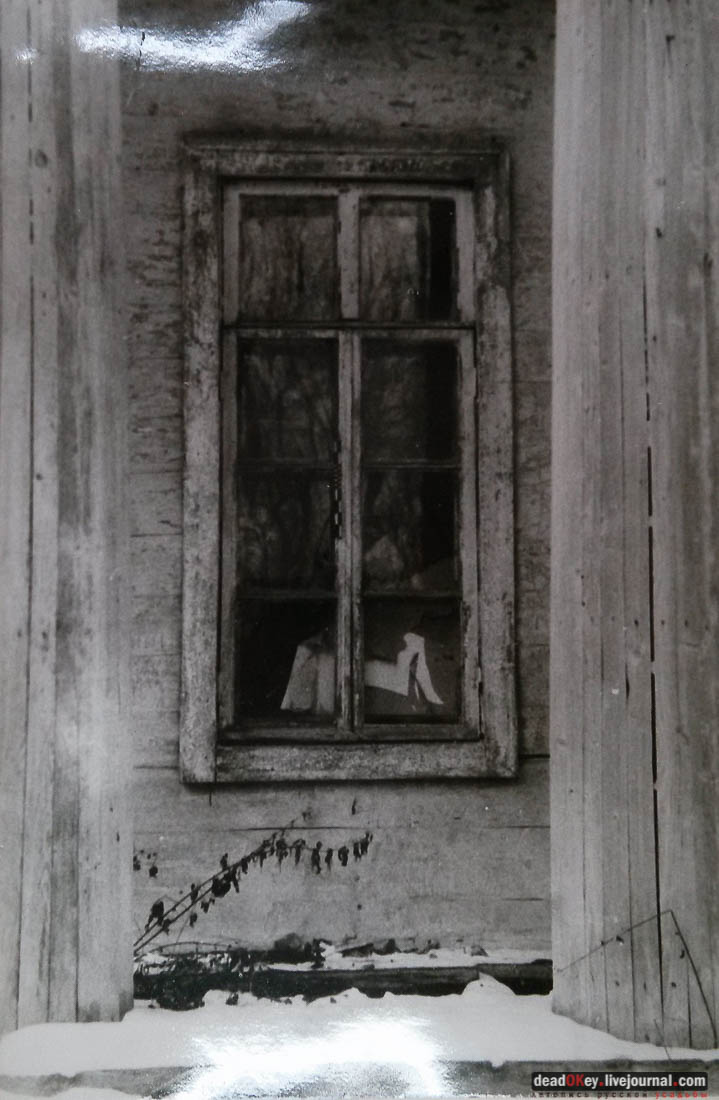 усадьба Васино