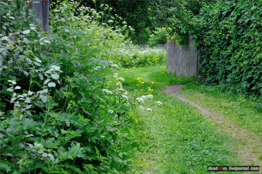 усадьба Хмелево