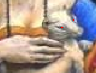 [fully zoomed in]