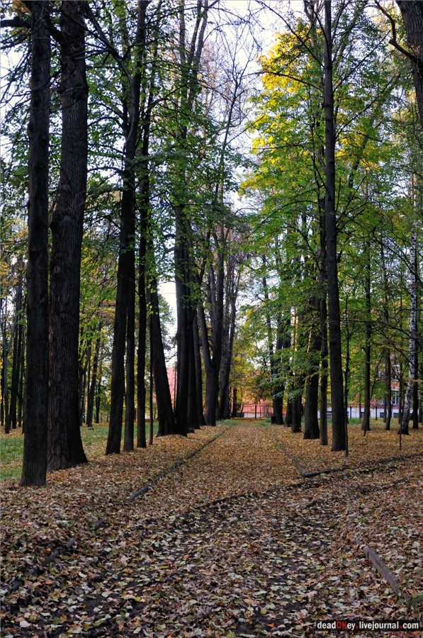 усадьба Петровское-Разумовское