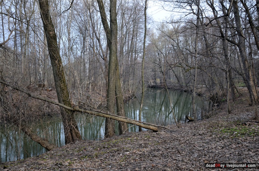 усадьба Кузьминки