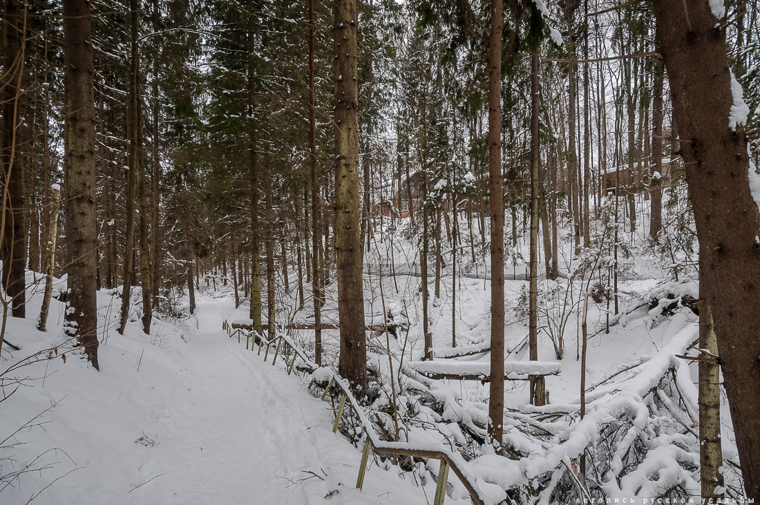 усадьба Абрамцево, зима 2017