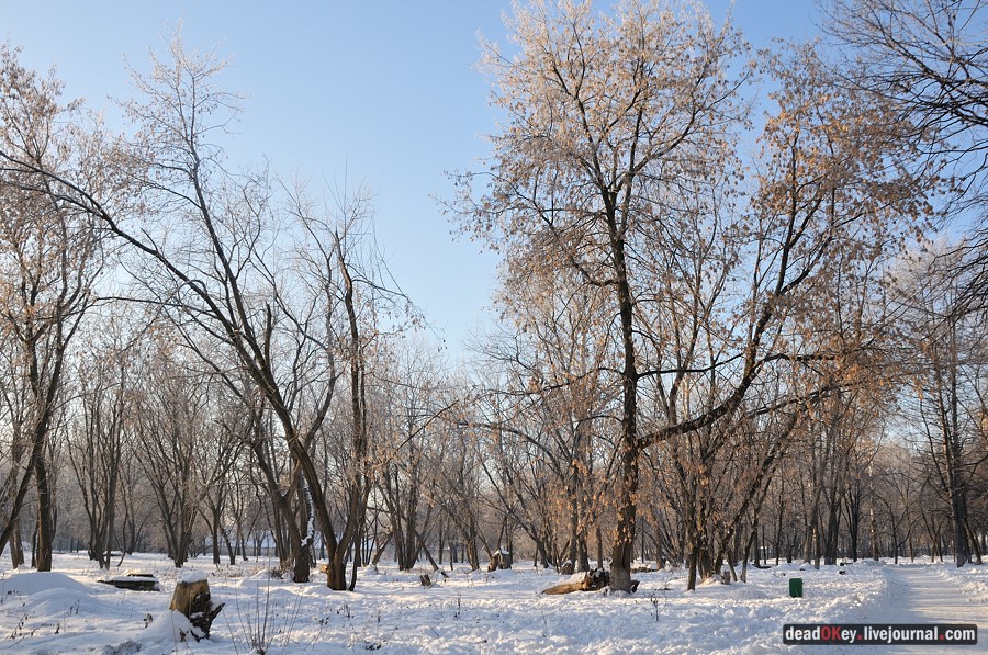 усадьба Люберцы