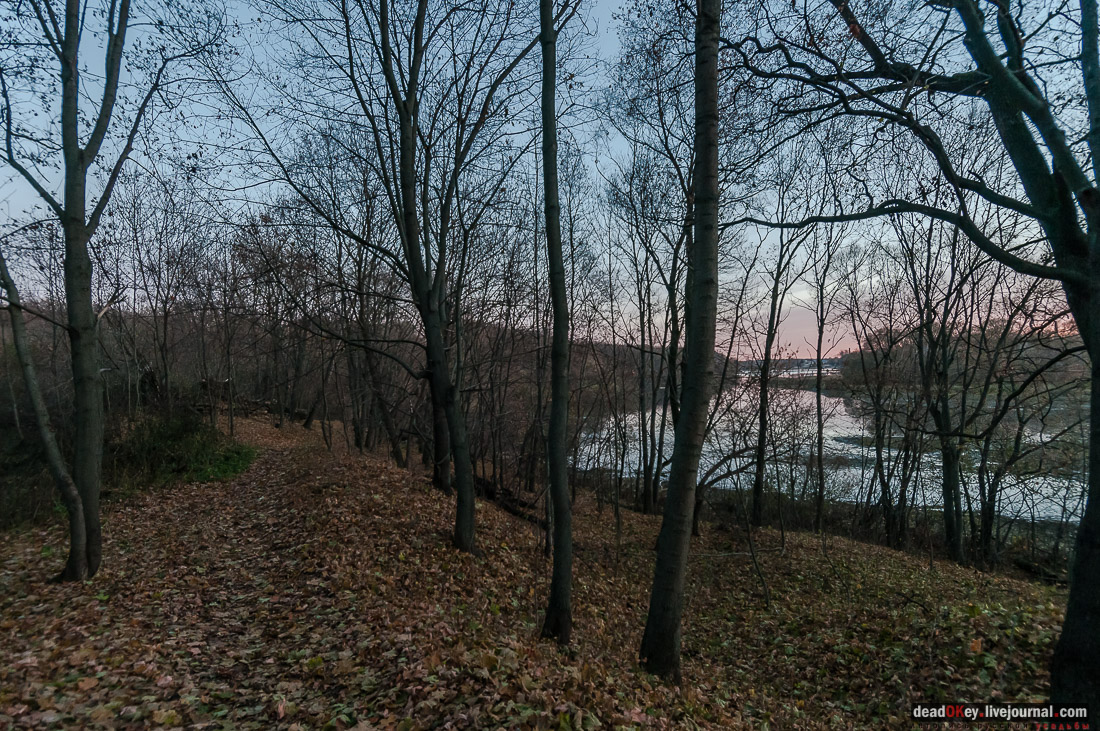 усадьба Богородицк