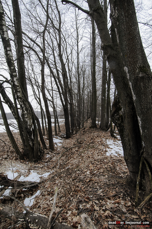 усадьба Рождественно (Рождественский погост)