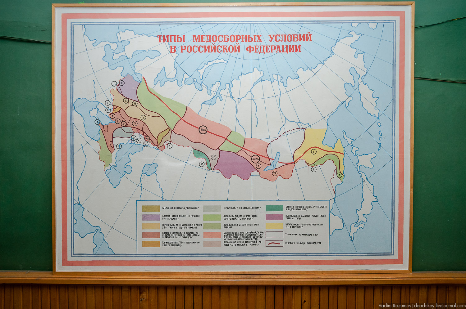 НИИ Пчеловодства, Рязанская область, Рыбное