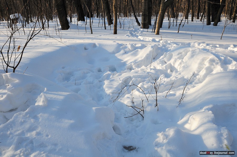 усадьба Архангельское-Тюриково