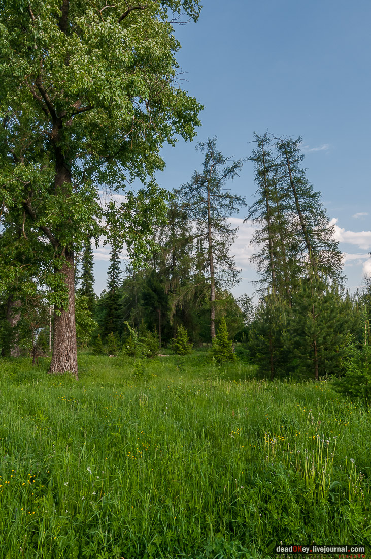 усадьба Вощажниково