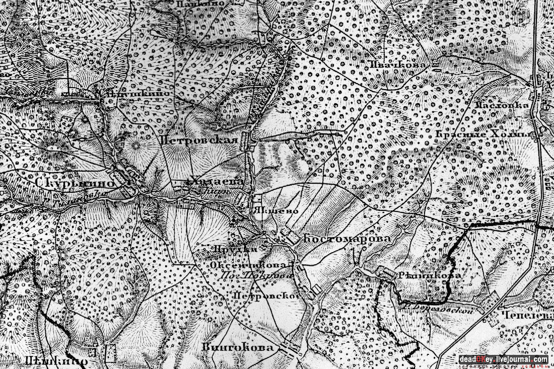 усадьба Васильевское-Скурыгино