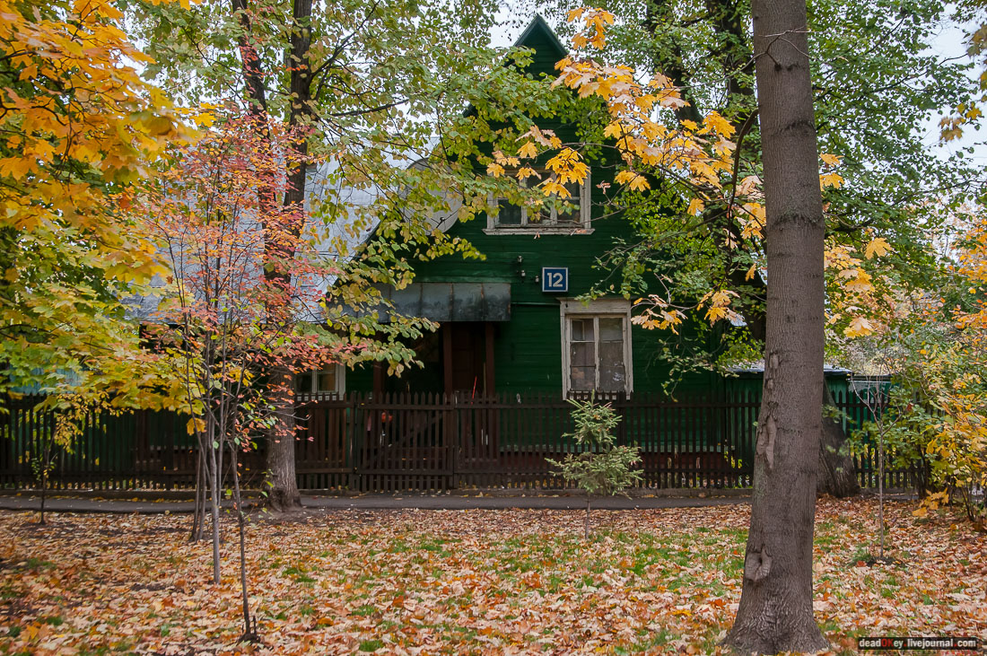 кооперативный поселок Сокол, поселок художников, Москва