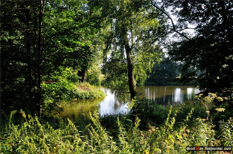 усадьба Райки