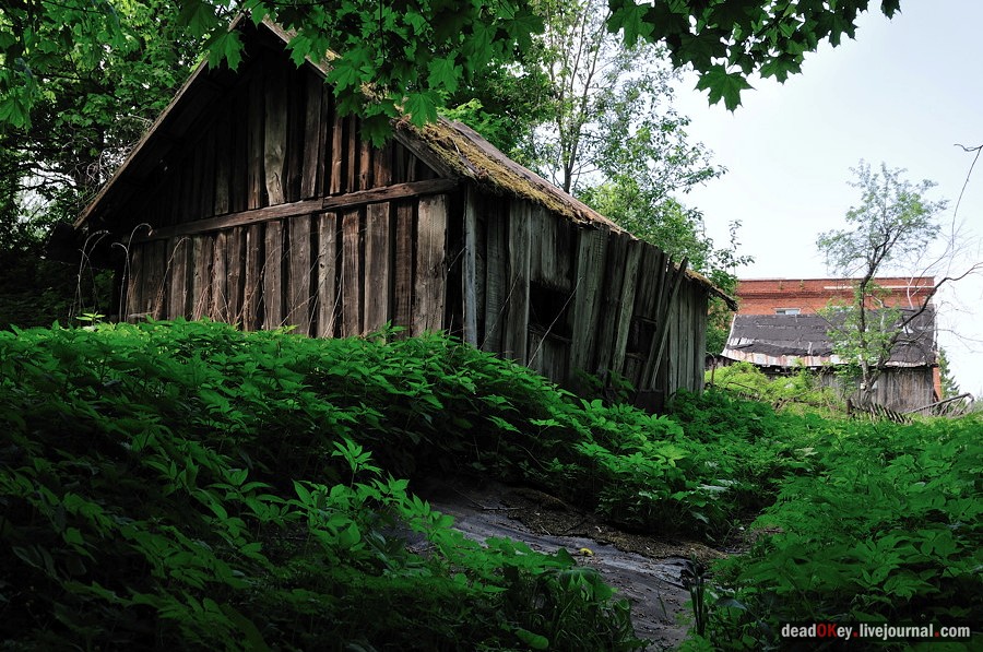 усадьба Ситники