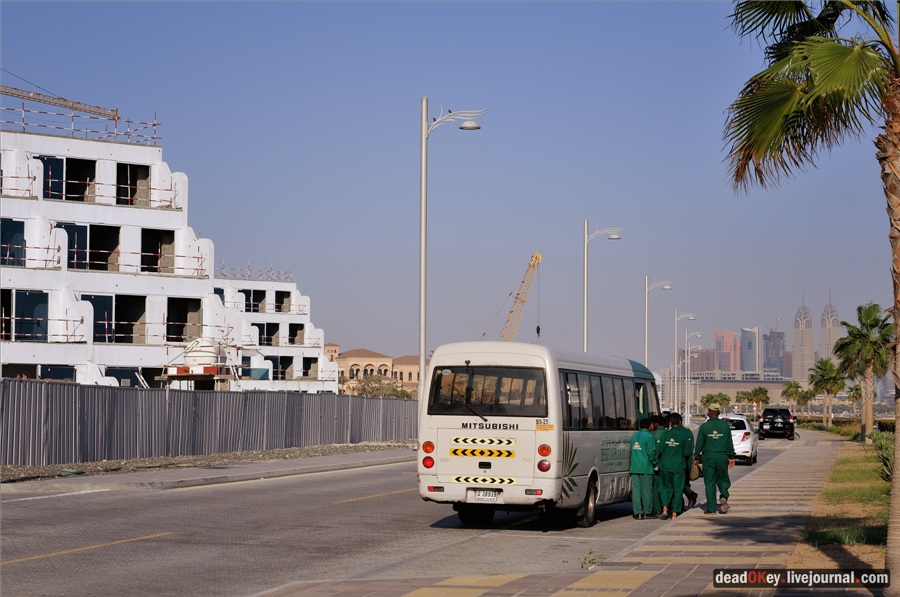 усадьба ОАЭ. Дубаи.