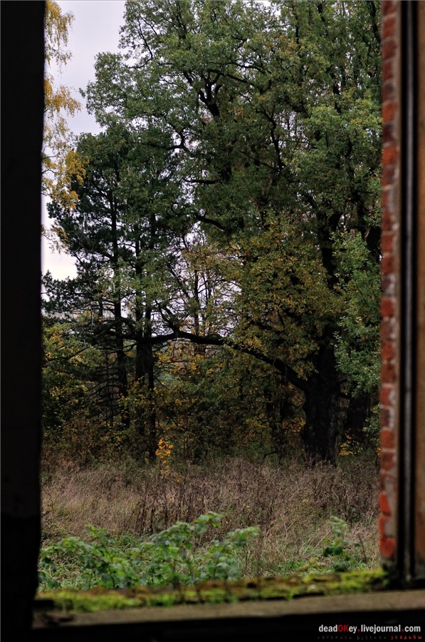 усадьба Федоровское