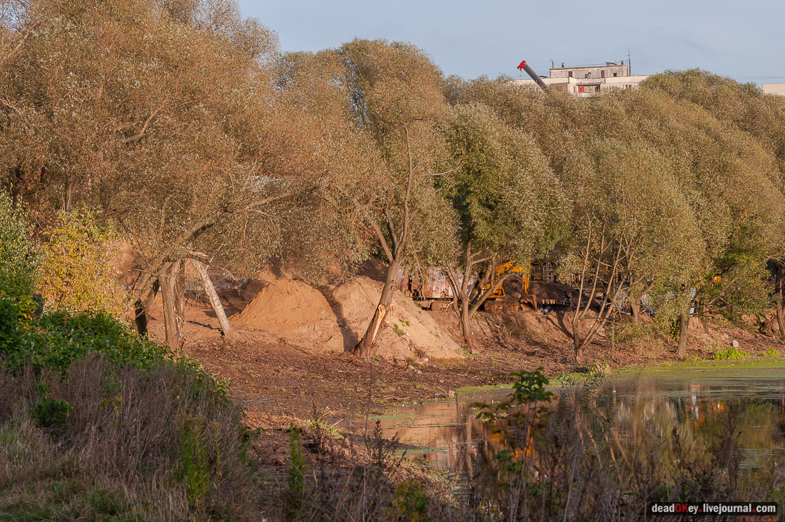 Усадьба Быково. Швейцарская ферма