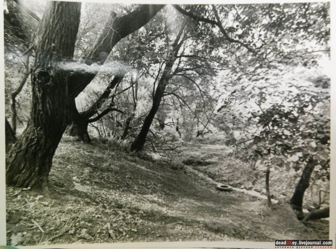 усадьба Тарасково, Каширский район, реставрация, ASG