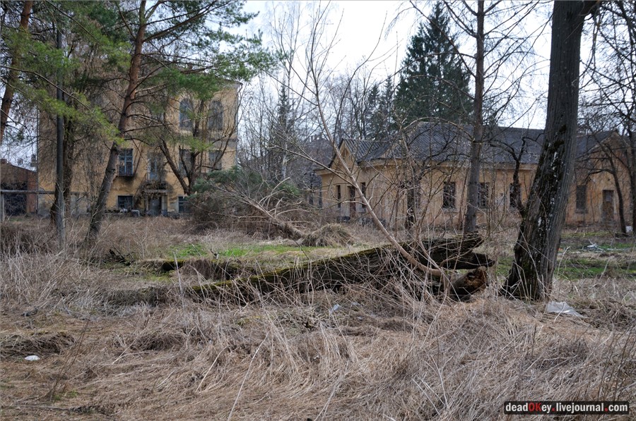 усадьба Грабцево