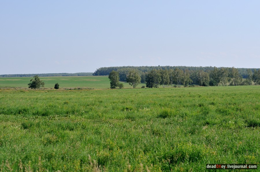 усадьба Шишкино