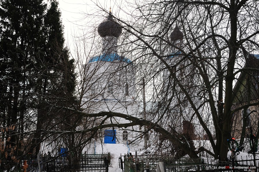 усадьба Кривцы