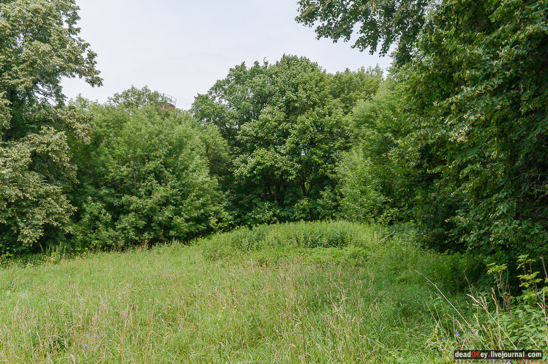 усадьба Дивово