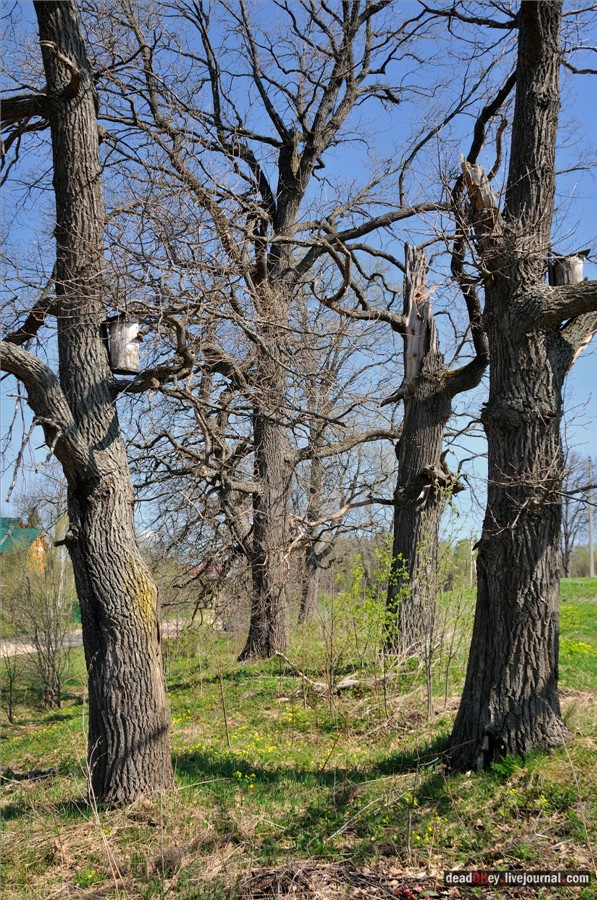 усадьба Андреевское-Туркино (Перематкино)
