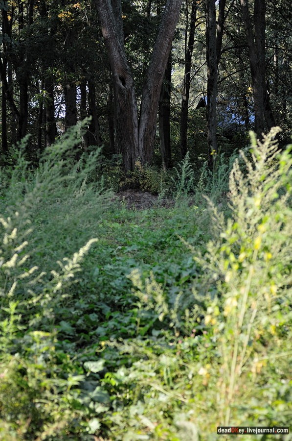 усадьба Хомяково