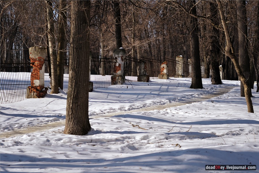 усадьба Кривякино