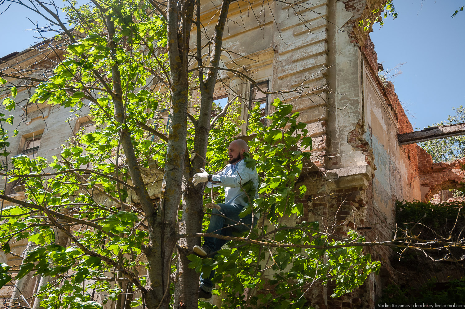 усадьба Сергиевское-на-Упе, Усадебные волонтеры в Тульской области