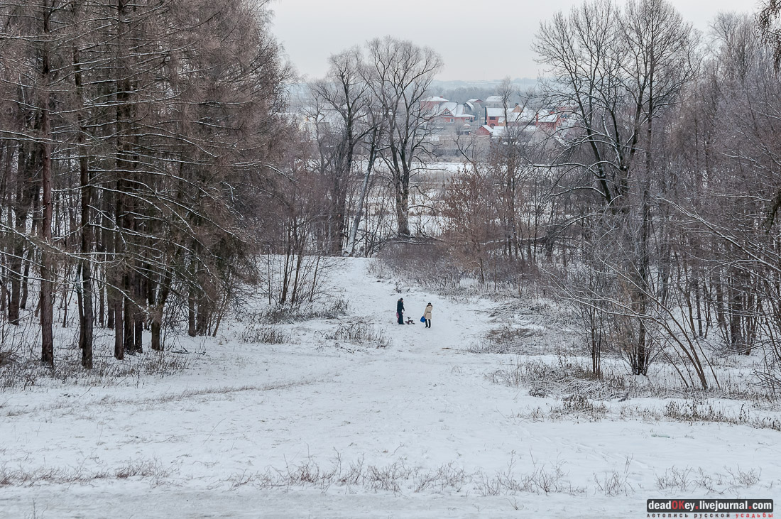 Усадьба Быково