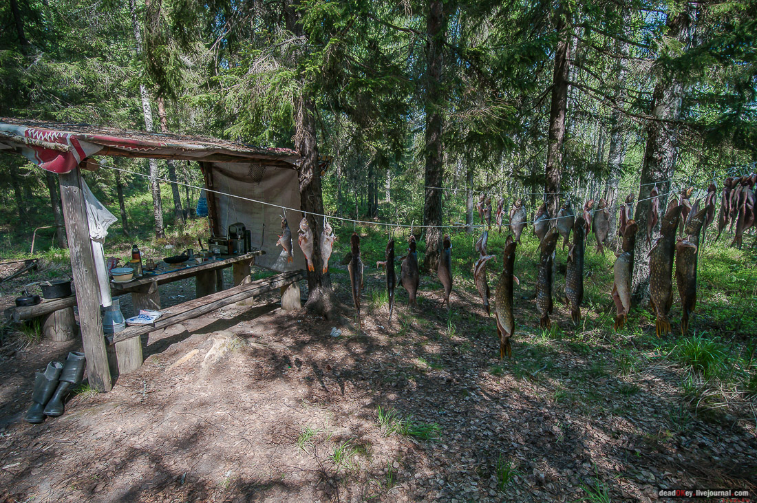 Россия, Карелия, Кондопожский район, Вендеры, Сяпчозеро, Спасская Губа