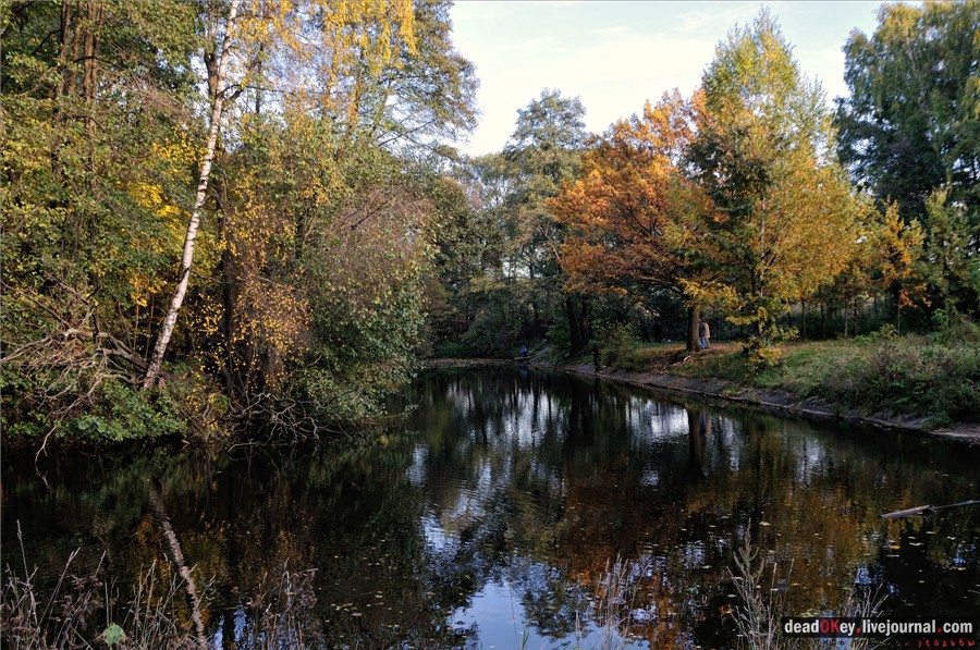 усадьба Петровское-Разумовское