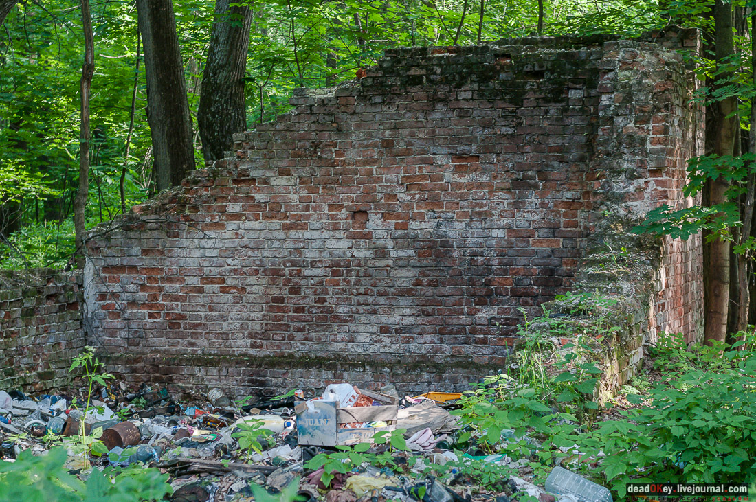 Усадьба Богородское-Кишкино