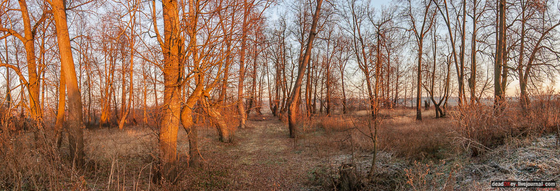 Усадьба Софрино