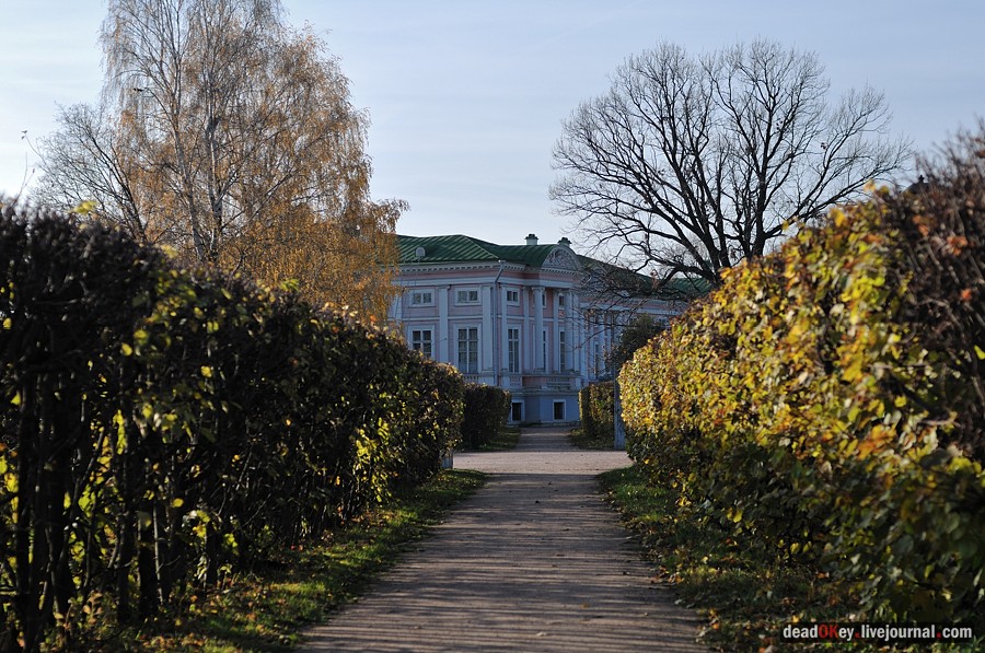 усадьба Кусково