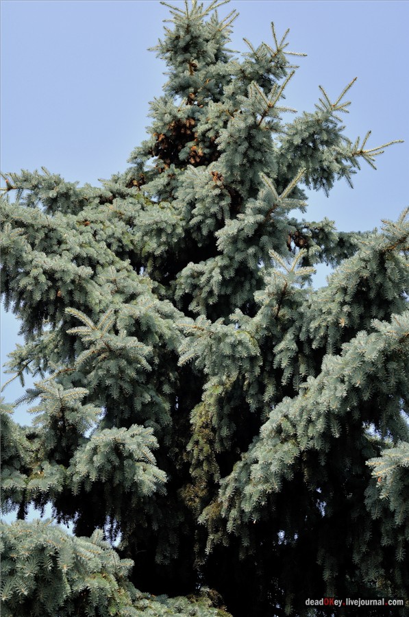 усадьба Образцово