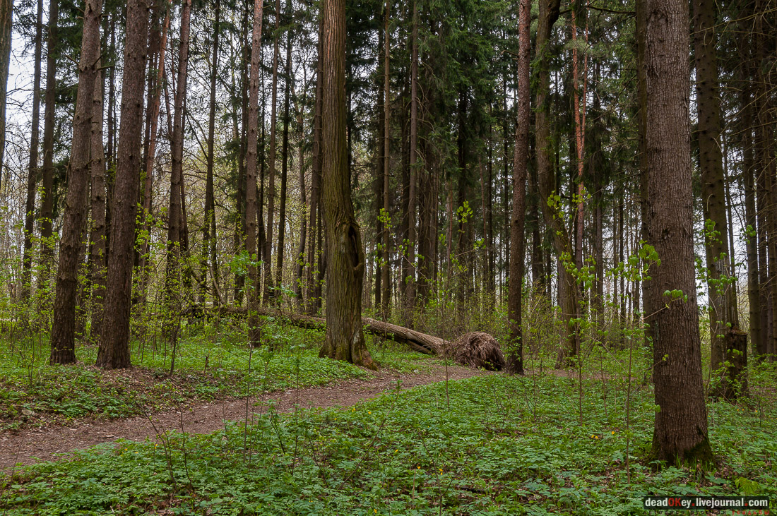 Петровское-Алабино