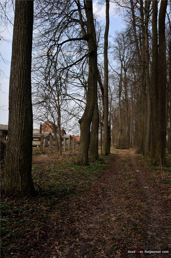 усадьба Городня