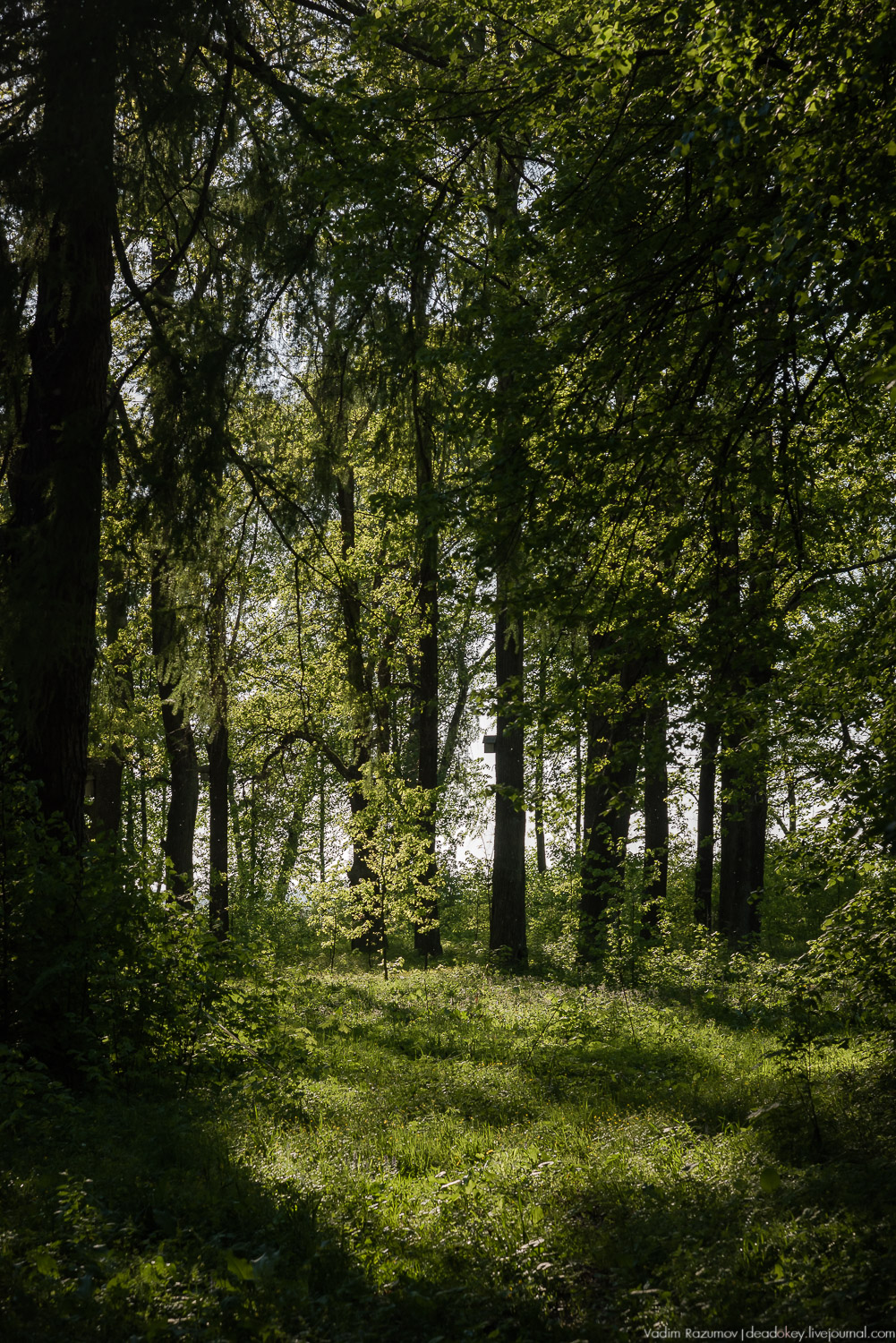 усадьба Воронино