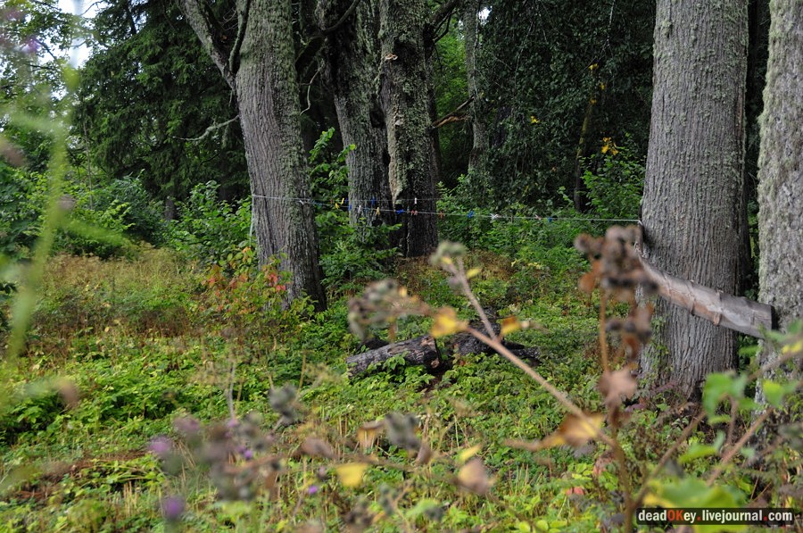 усадьба Верхоляне